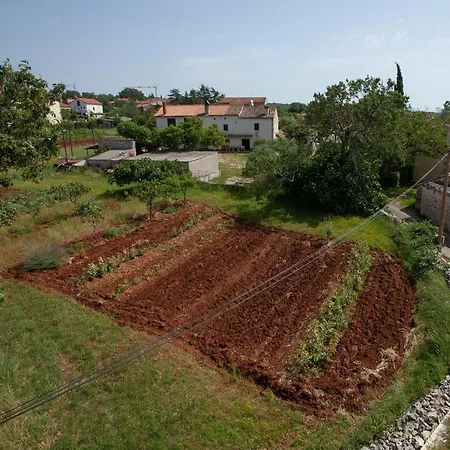Ozren * Rovinj